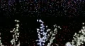 Christmas tree at night (loop) HD Footage