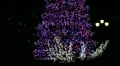Christmas tree at night (loop) HD Footage