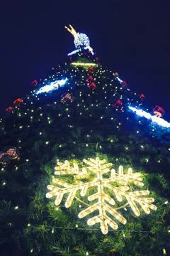 Christmas Tree at Night Stock Photos