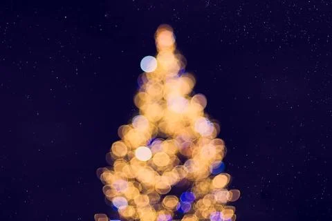 Christmas tree at night Stock Photos