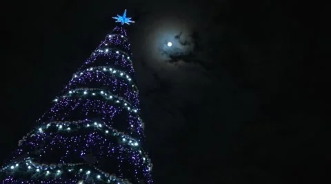 Christmas tree at night under the moon in the sky floating clouds Video stock 45814308