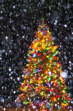 A Christmas tree at night while snowing Foto stock