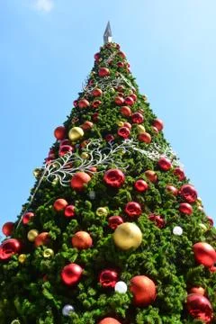 Christmas tree, note  select focus with shallow depth of field. 写真素材