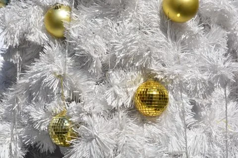 Christmas tree, note  select focus with shallow depth of field. Foto stock