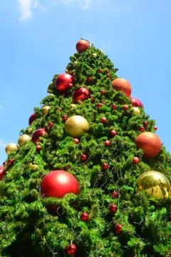 Christmas tree, note  select focus with shallow depth of field. Foto stock