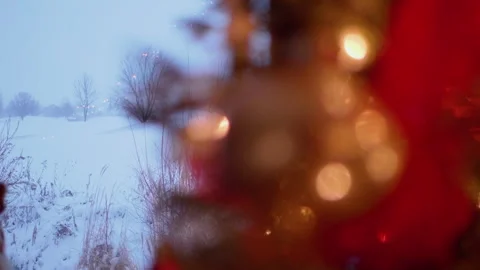 Christmas Tree Out of Focus Christmas Tree Background, Winter Field Background Stock Footage 293253602