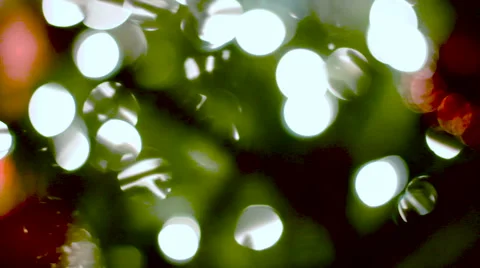 Christmas Tree Out of Focus Stock Footage 58505441