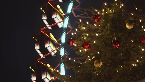 Christmas Tree Outdoors Stock Footage 77977967
