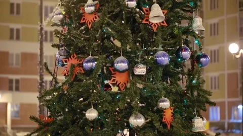 Christmas tree outdoors Stock Footage 83465186