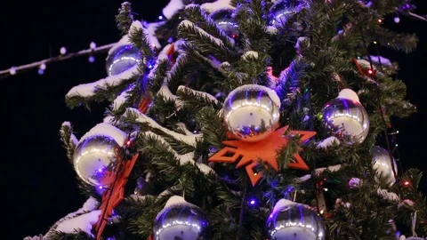 Christmas tree outdoors Stock Footage 83465270