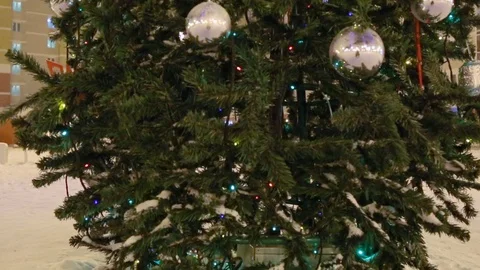 Christmas tree outdoors 스톡 동영상 83480844