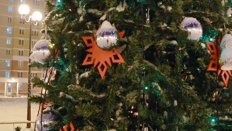 Christmas tree outdoors Stock Footage 83480914