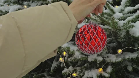 Christmas tree outdoors 動画素材 166572010