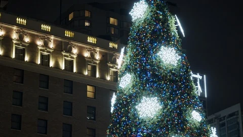 Christmas tree outside Hotel Stock Footage 121569833