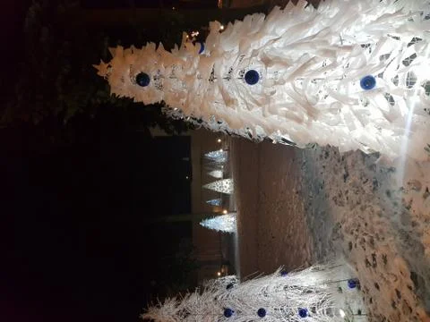 Christmas tree outside Stock Photos