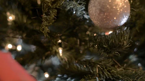 Christmas tree pan Stock Footage 31626871