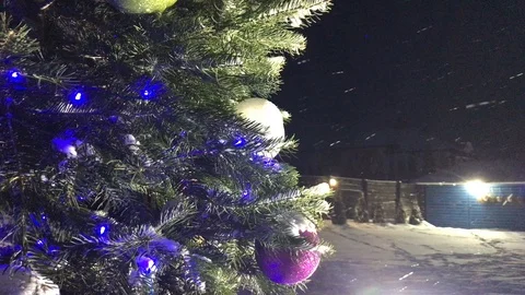 Christmas tree in the park Stock Footage 103131420