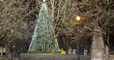 Christmas tree in the park Stock Footage 120956787