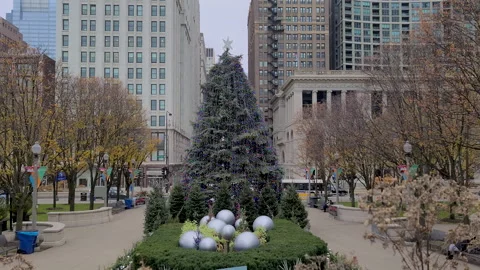 Christmas tree in the park Stock Footage 144779202