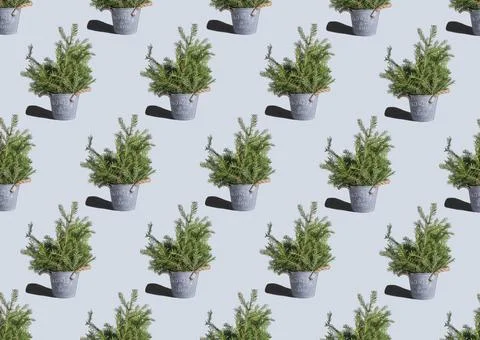 Christmas tree pattern on light blue background Foto stock