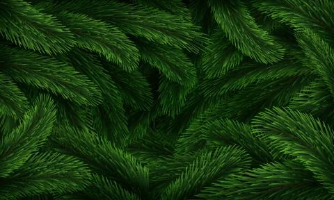 Christmas tree pattern. Realistic fir branches green texture poster, Xmas winter 库存插图
