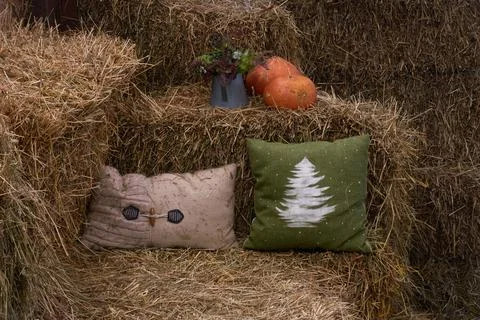Christmas tree-patterned pillows lie in the hayloft with pumpkins Stock Photos