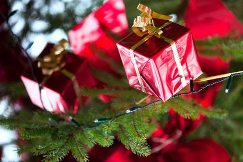 Christmas tree Stock Photos