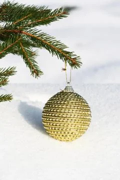 Christmas tree Stock Photos