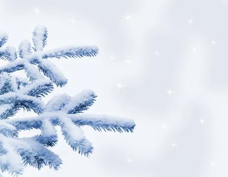Christmas tree Stock Photos