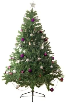 Christmas tree Stock Photos