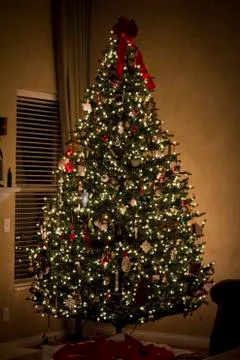 Christmas Tree 写真素材