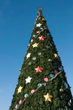 Christmas tree Stock Photos