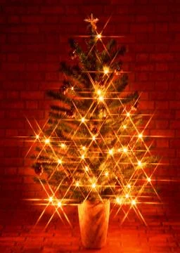 Christmas Tree Stock Photos