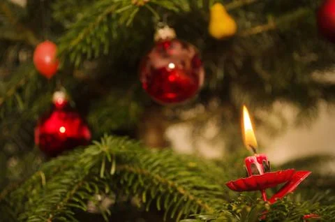 Christmas tree Stock Photos