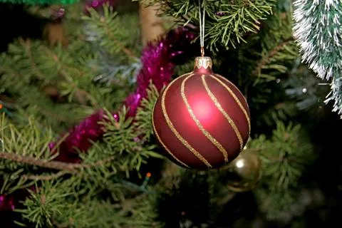 Christmas tree Stock Photos