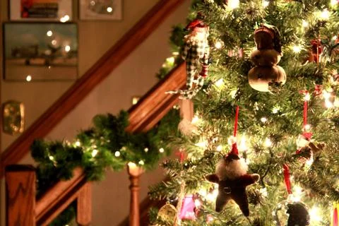 Christmas Tree Fotos Stock