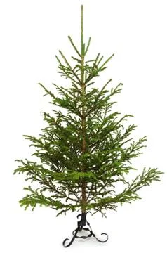 Christmas tree Stock Photos
