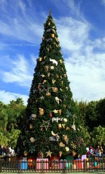 Christmas tree Stock Photos