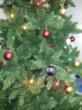 Christmas tree Stock Photos