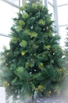 Christmas tree Stock Photos