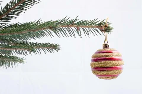 Christmas tree 스톡 사진