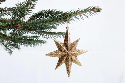 Christmas tree 스톡 사진