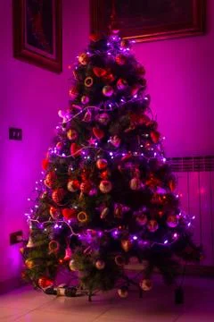 Christmas tree Stock Photos