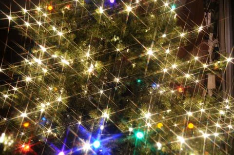 Christmas tree Stock Photos