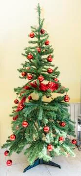 Christmas tree Stock Photos