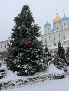 Christmas tree Stock Photos