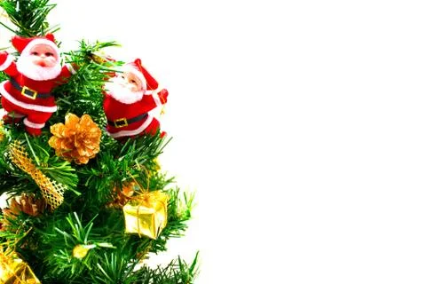 Christmas tree  Stock Photos