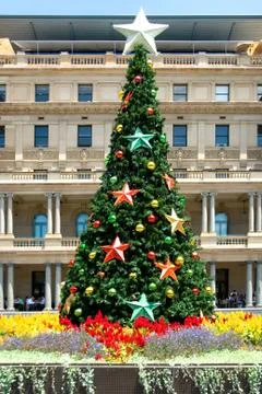 Christmas Tree Stock Photos