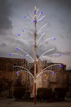 Christmas Tree Stock Photos