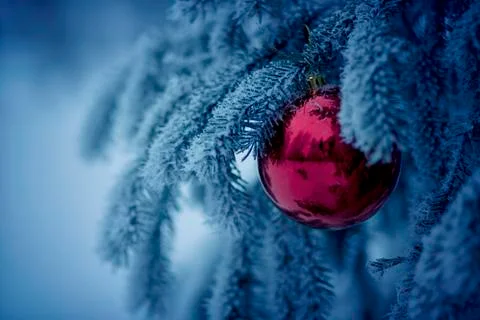 Christmas tree Foto stock